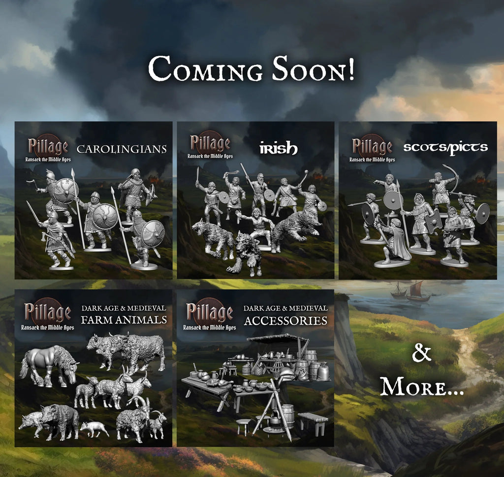 Viking Warband