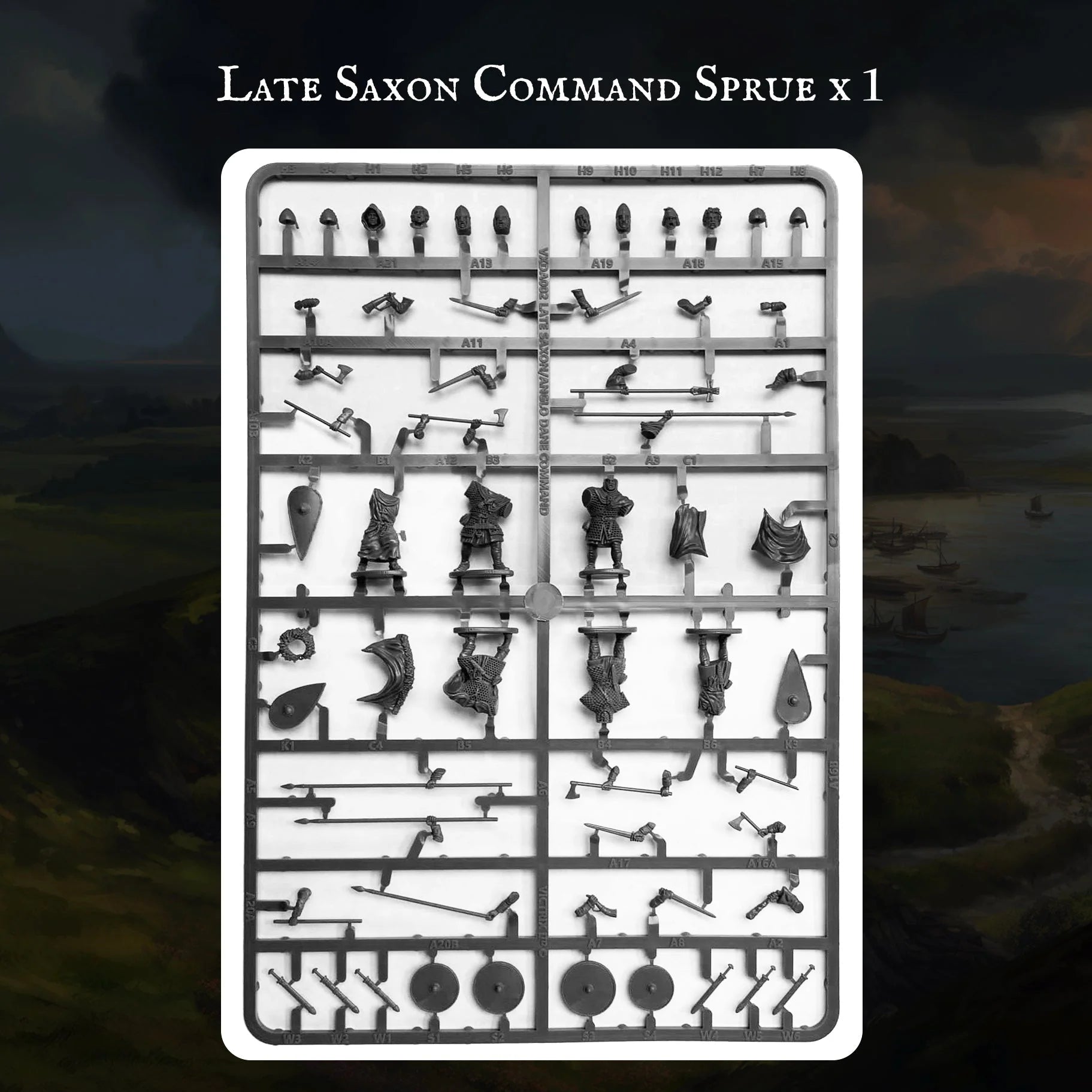 Saxon Warband
