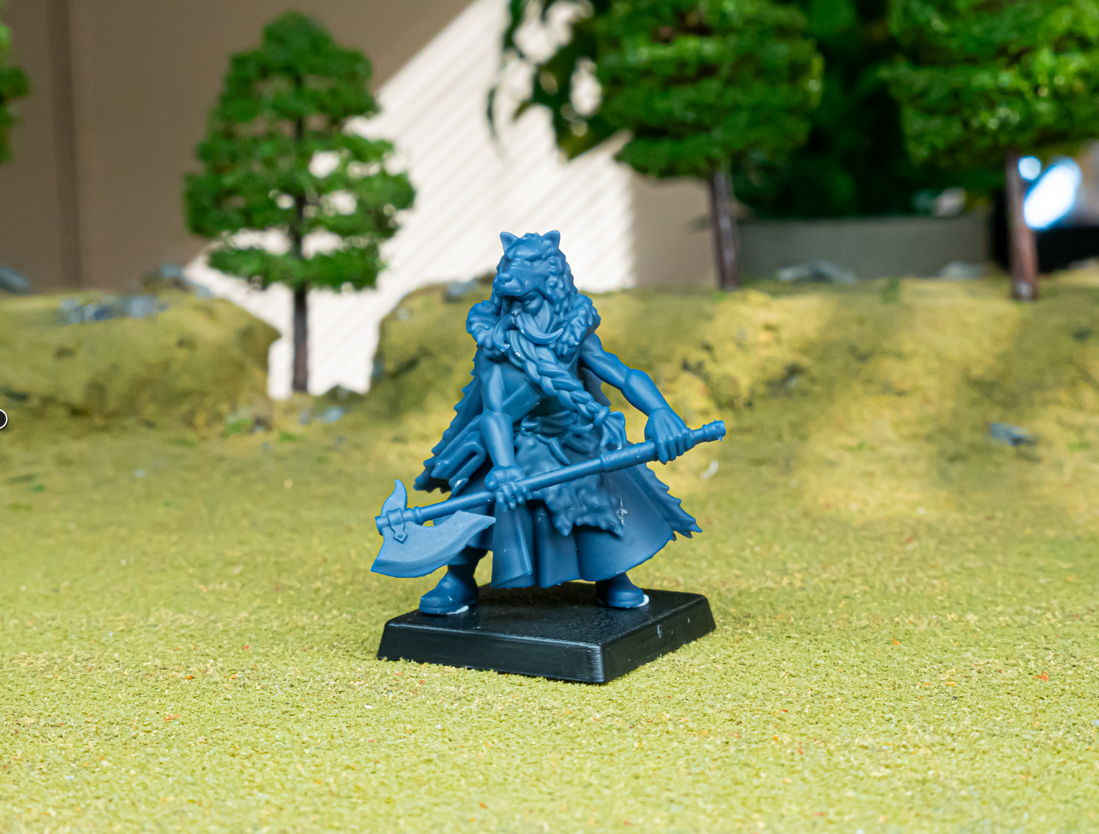 Mergenheim Druid