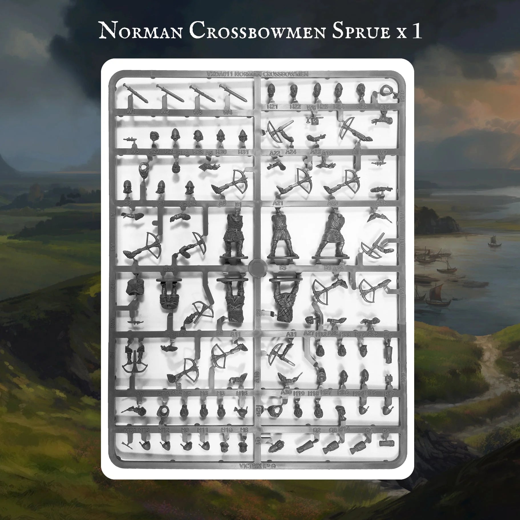Norman Warband