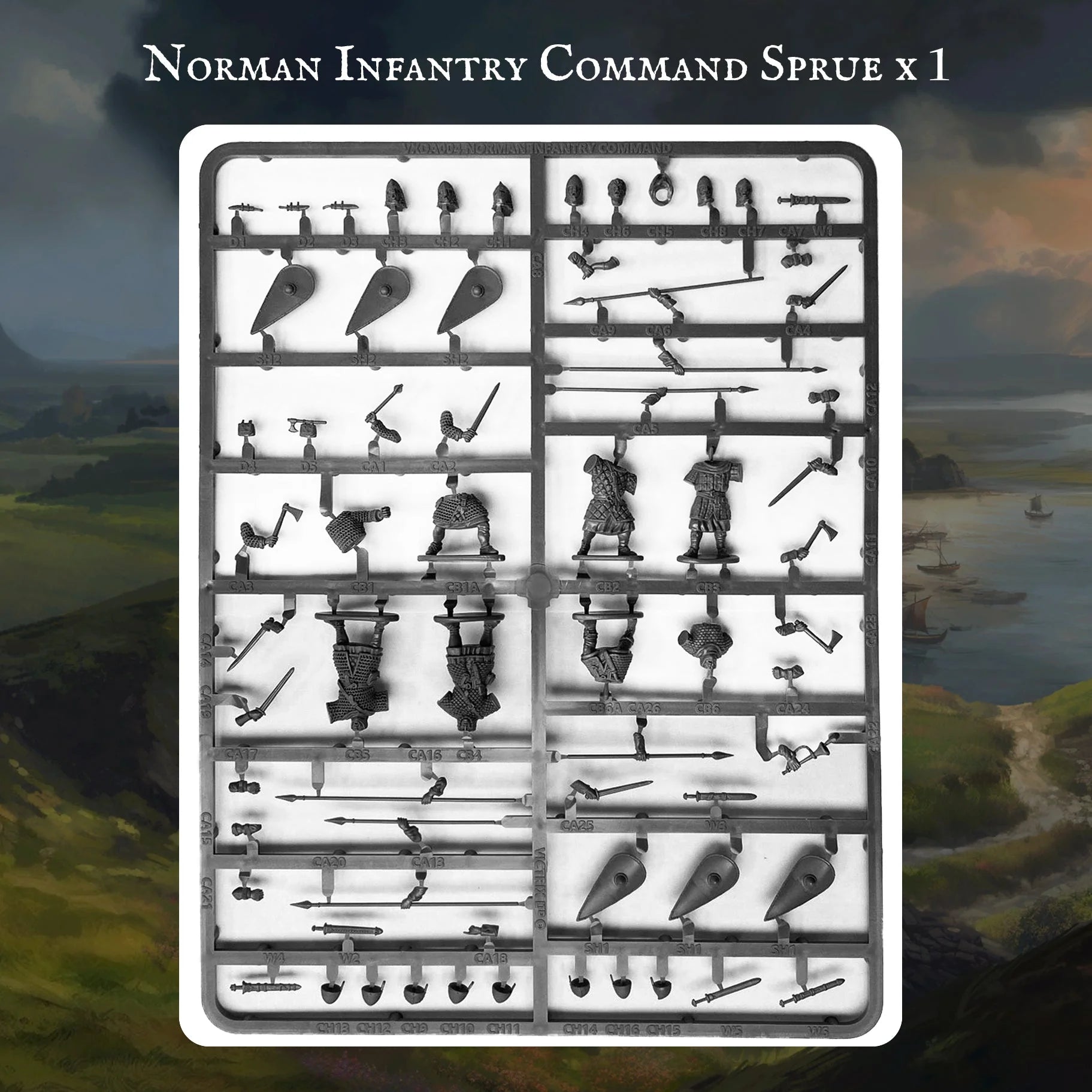 Norman Warband