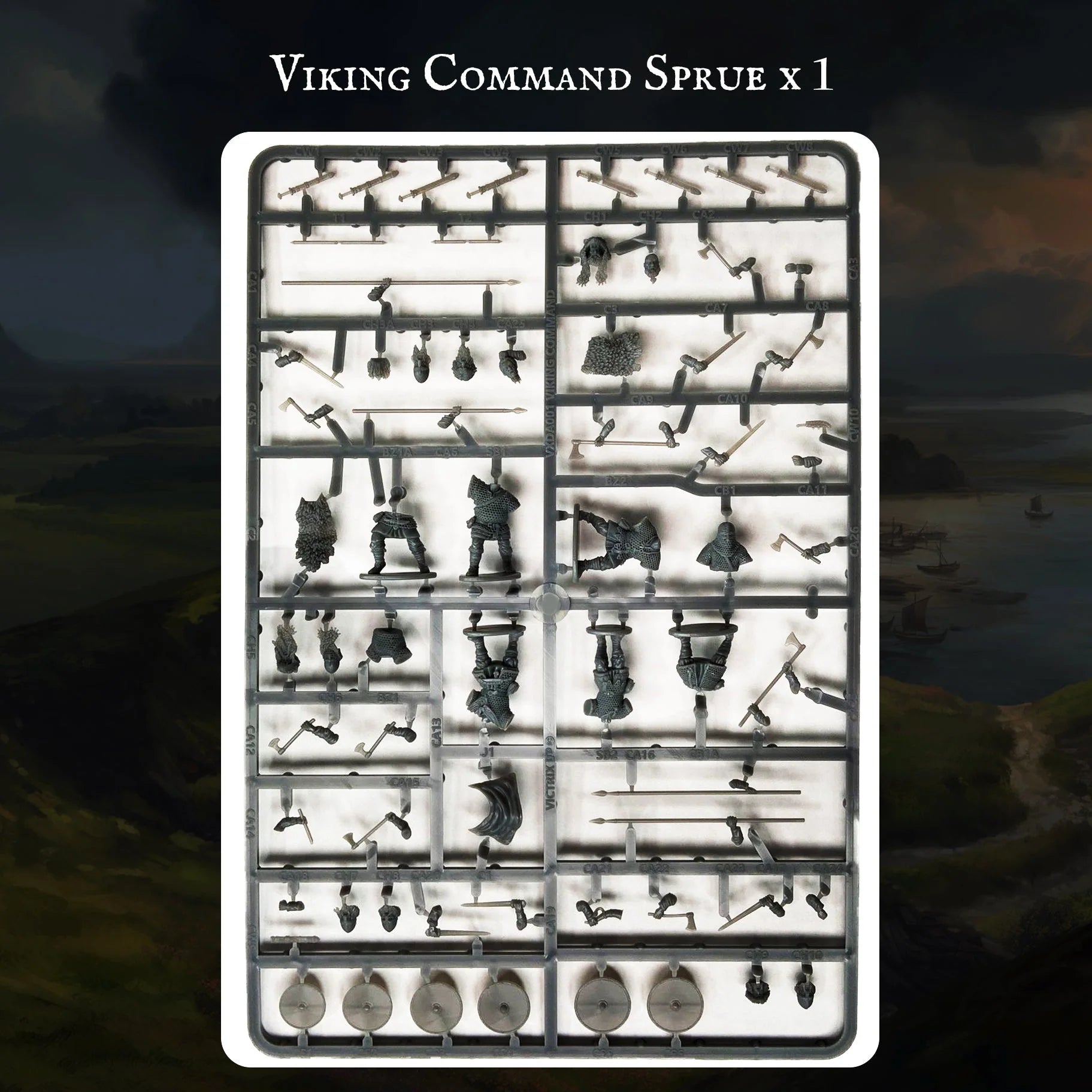 Viking Warband