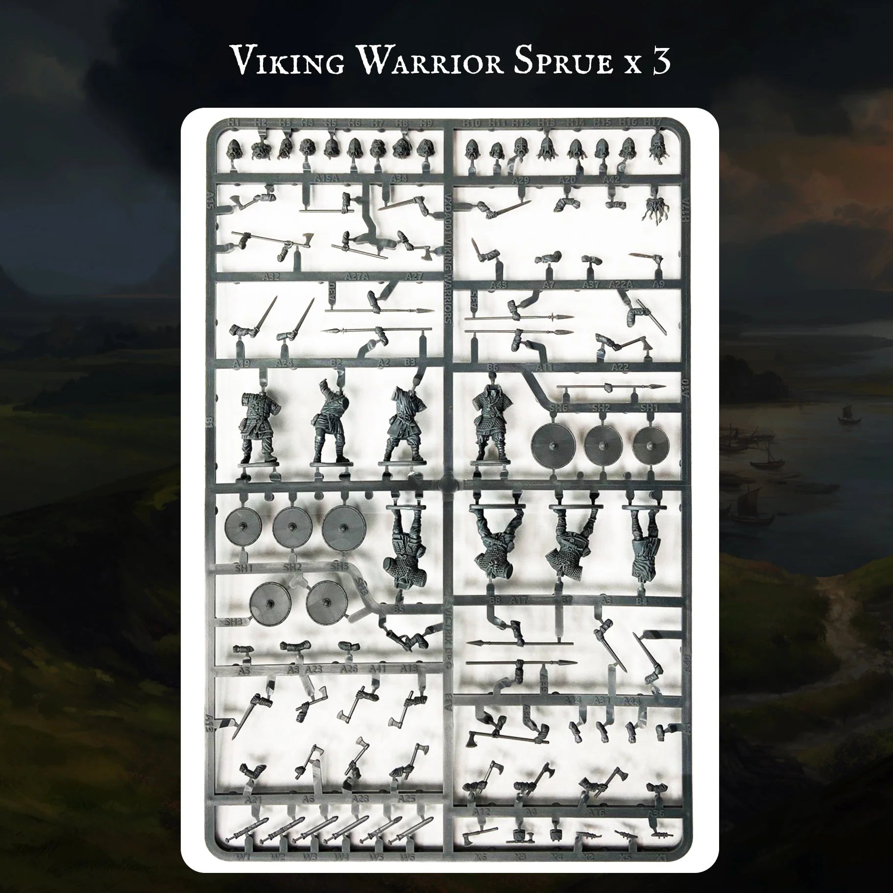 Viking Warband
