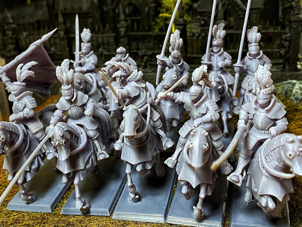 Sunland Knights Reinforcementds