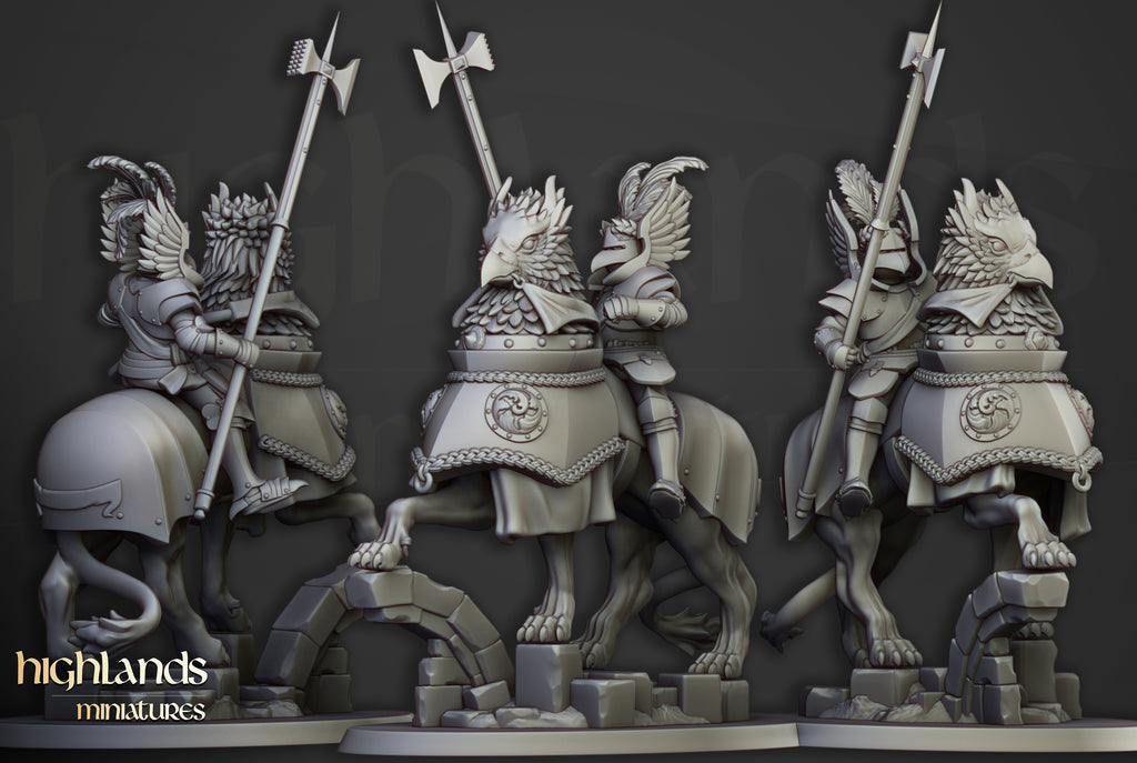 Sunland Knights on young Gripphons