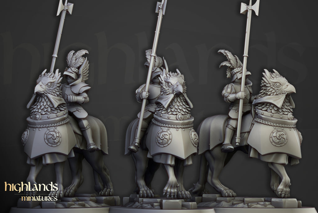 Sunland Knights on young Gripphons