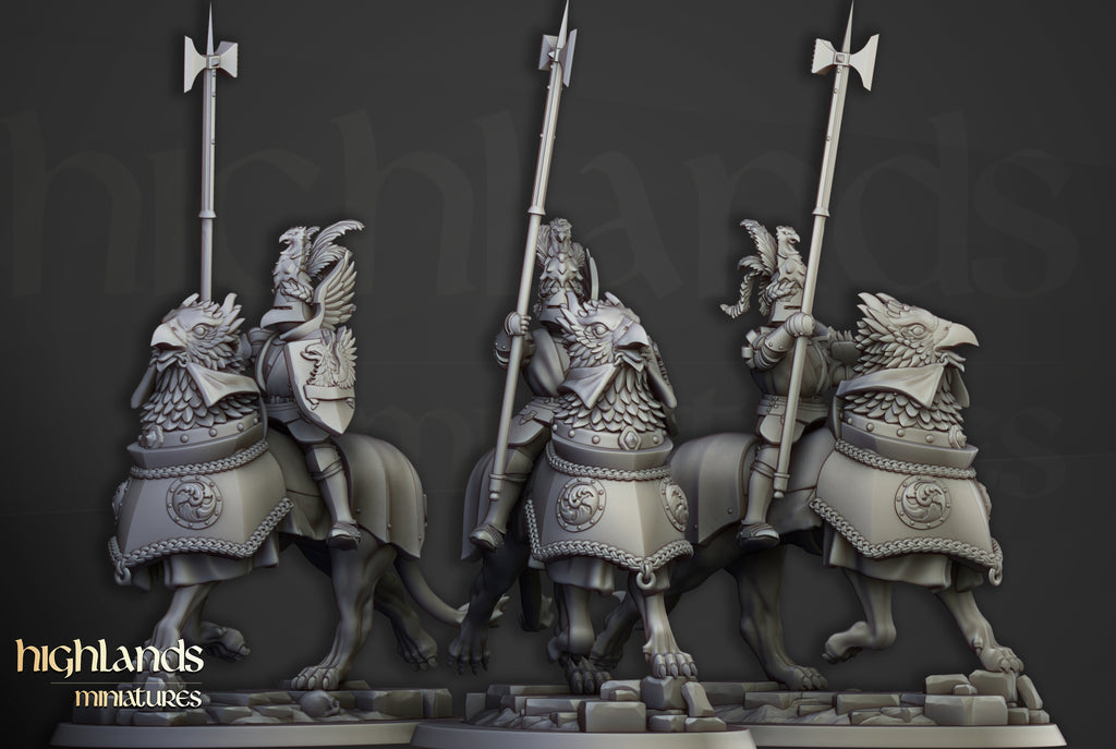 Sunland Knights on young Gripphons