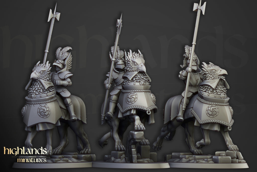 Sunland Knights on young Gripphons