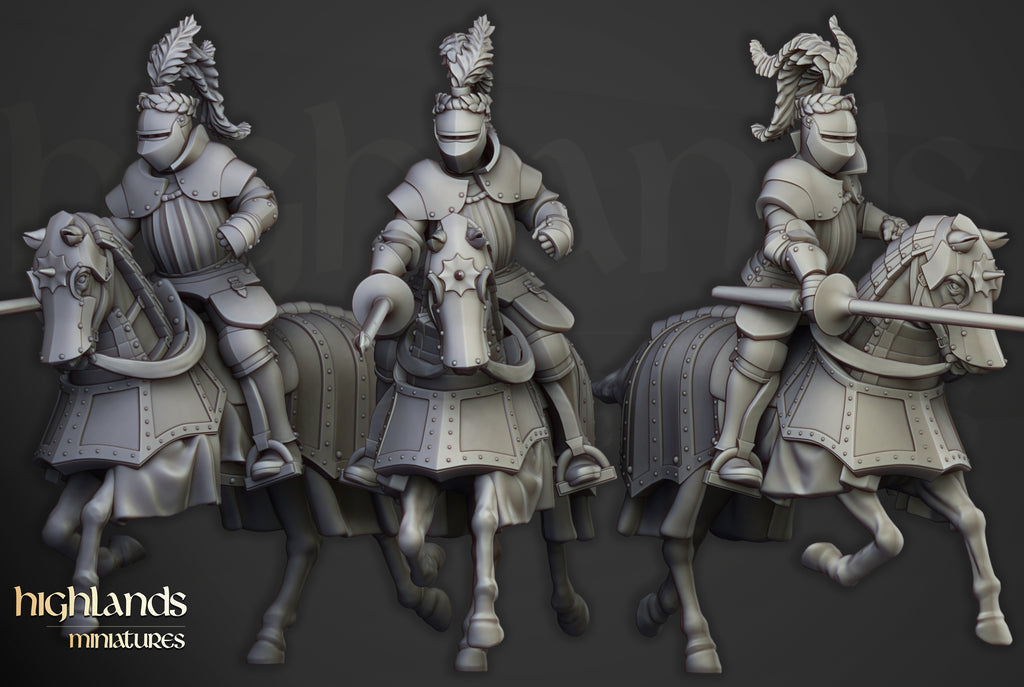 Sunland Knights Reinforcementds