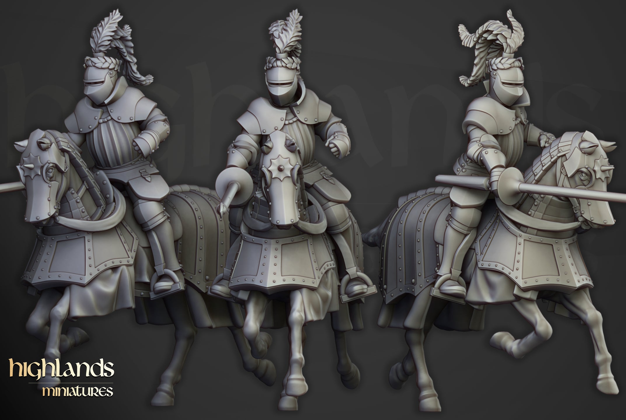 Sunland Knights Reinforcementds