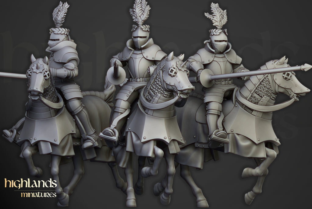 Sunland Knights Reinforcementds