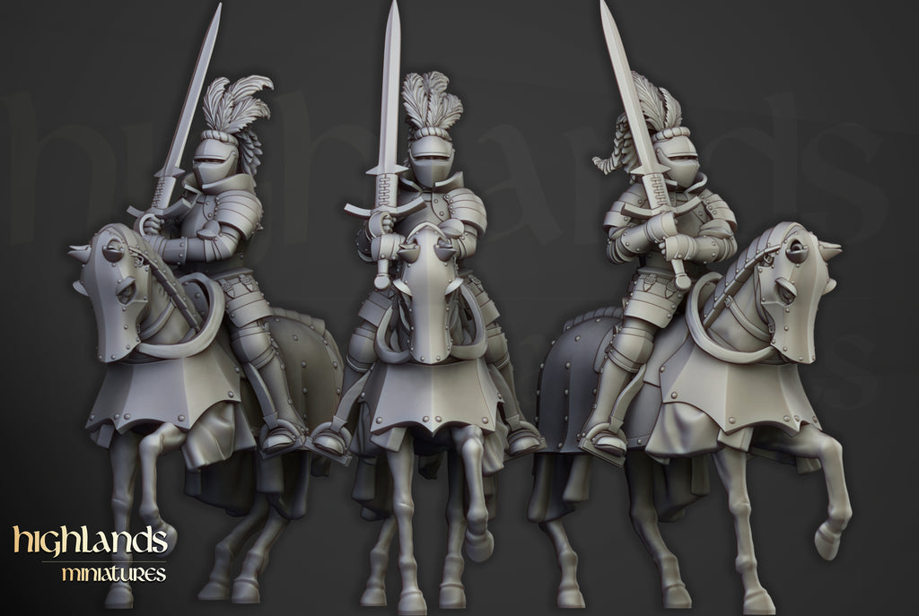 Sunland Knights Reinforcementds