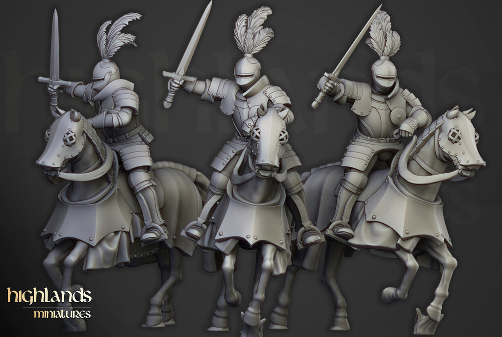 Sunland Knights Reinforcementds