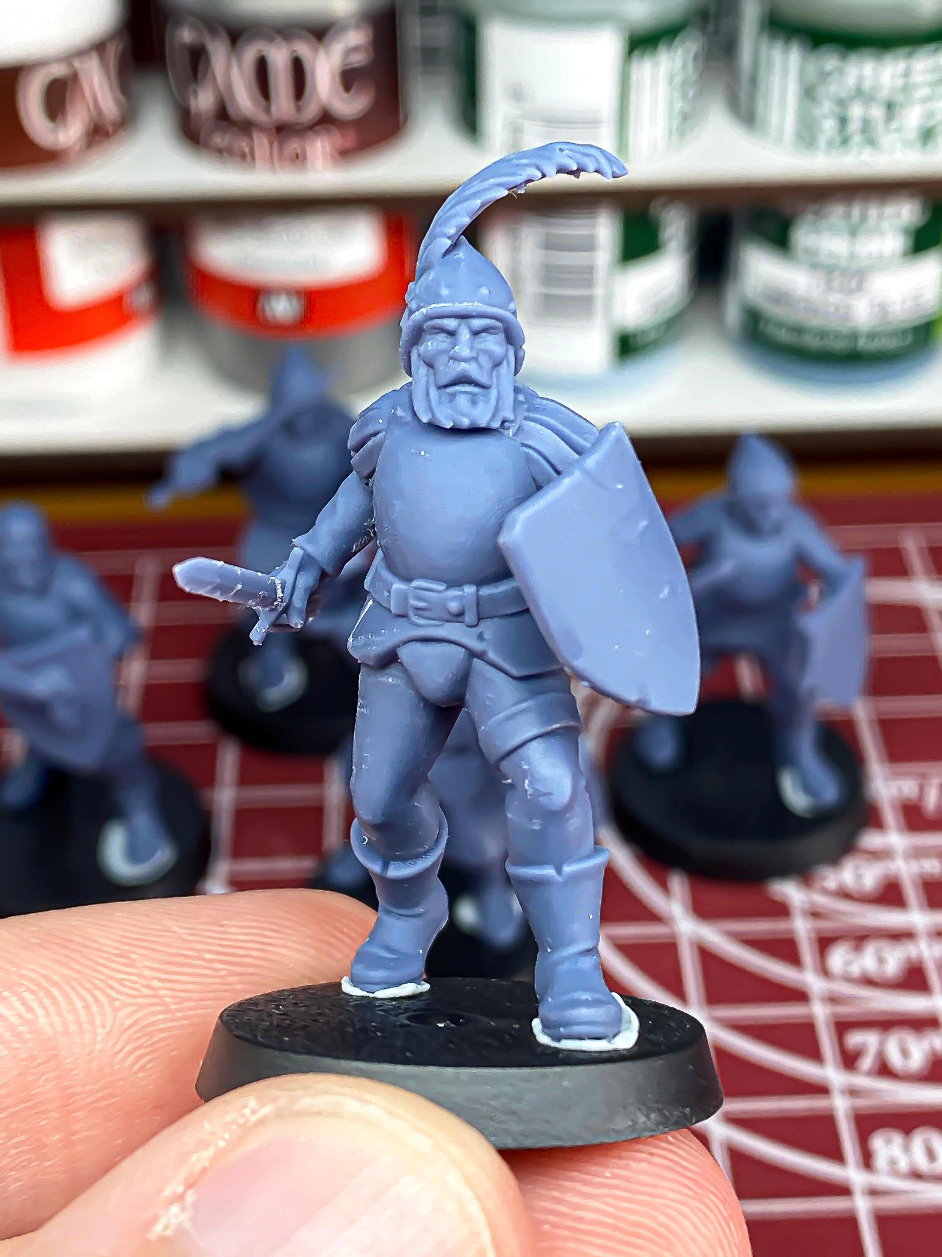 Sunland troops with Swords - Reinforcements