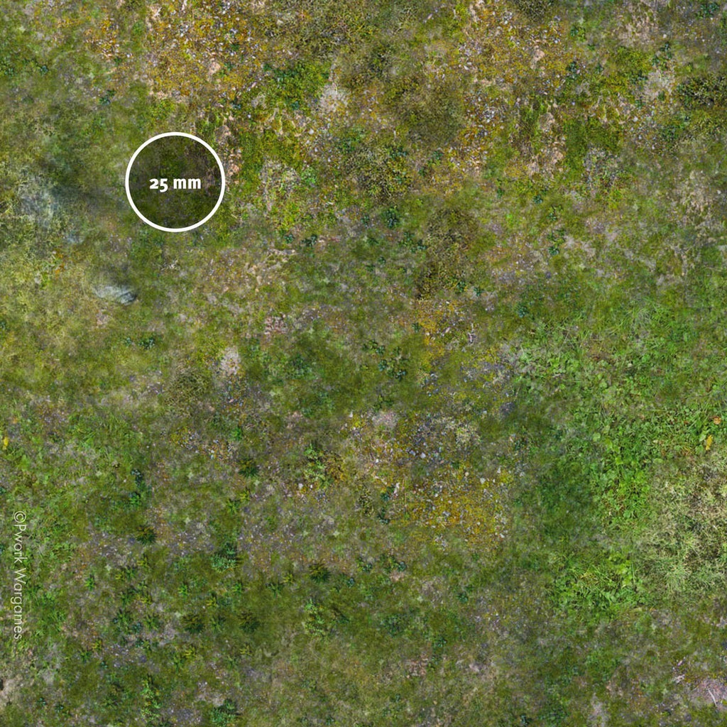 Game Mat - The Valley