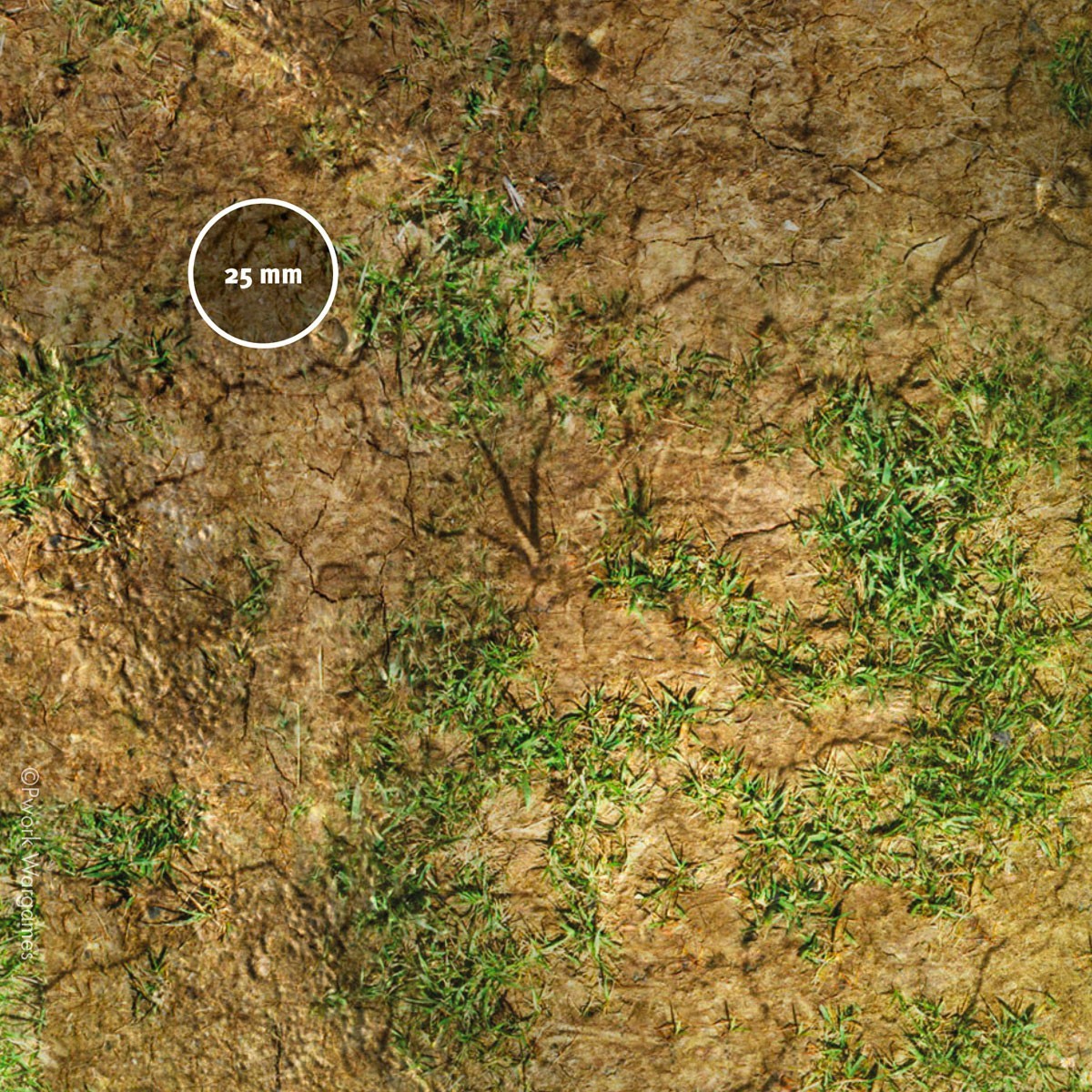 Game Mat - Woodland